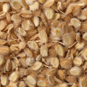Cumin en graines Sénégal |  Produit Maroc